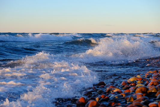 Lake Superior Waves loose tea