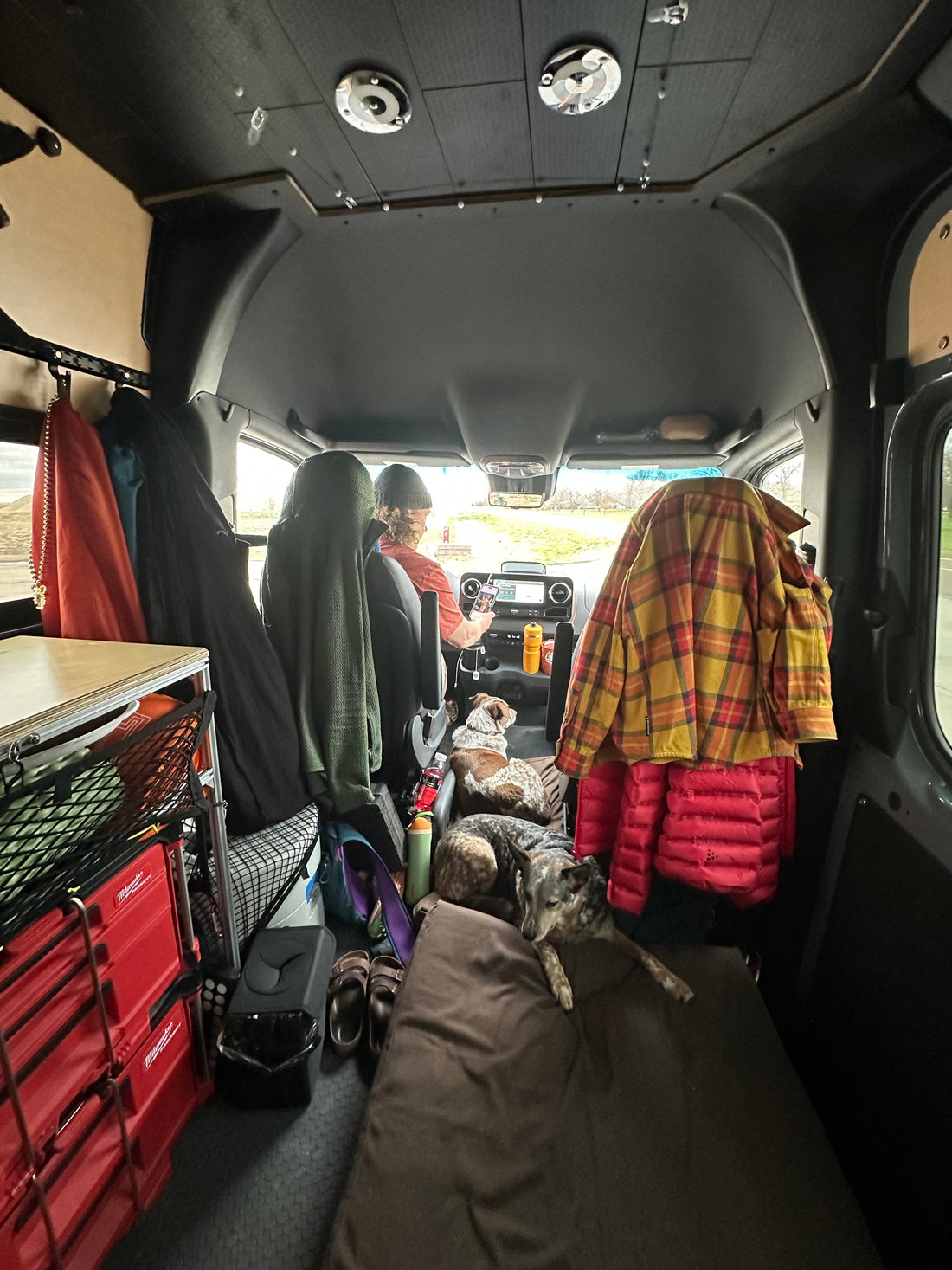 Perspective & Traveling