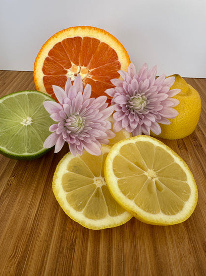 Tallow Tea lights bundle