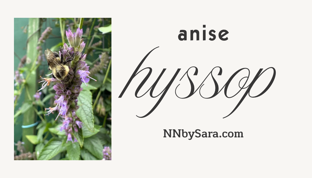 Seeds! Locally Grown in MN