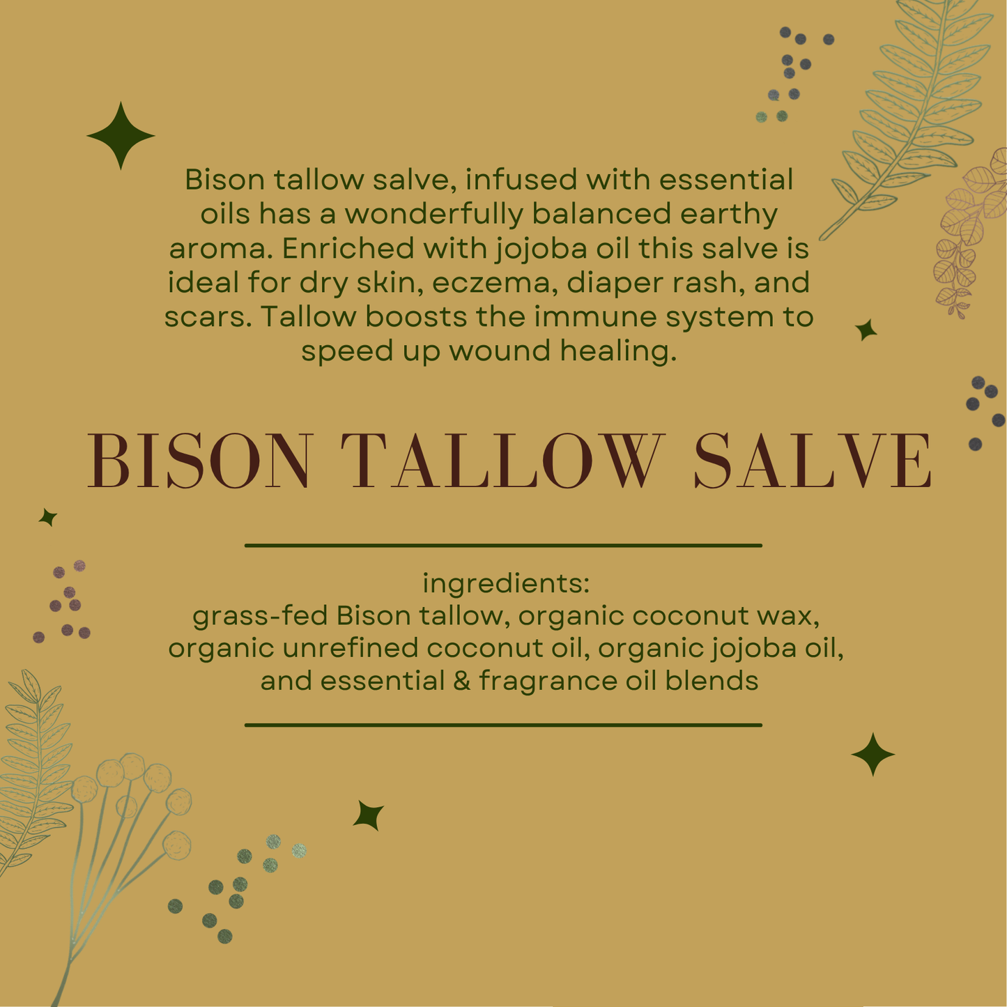 Bison Tallow Salve