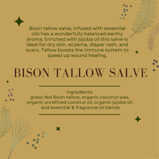 Bison Tallow Salve