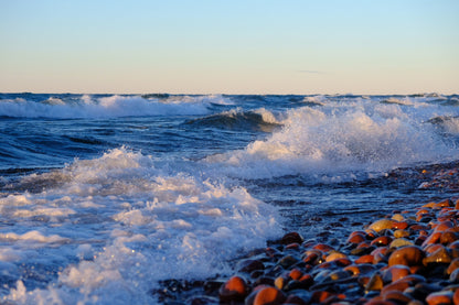 Tallow Tea lights bundle