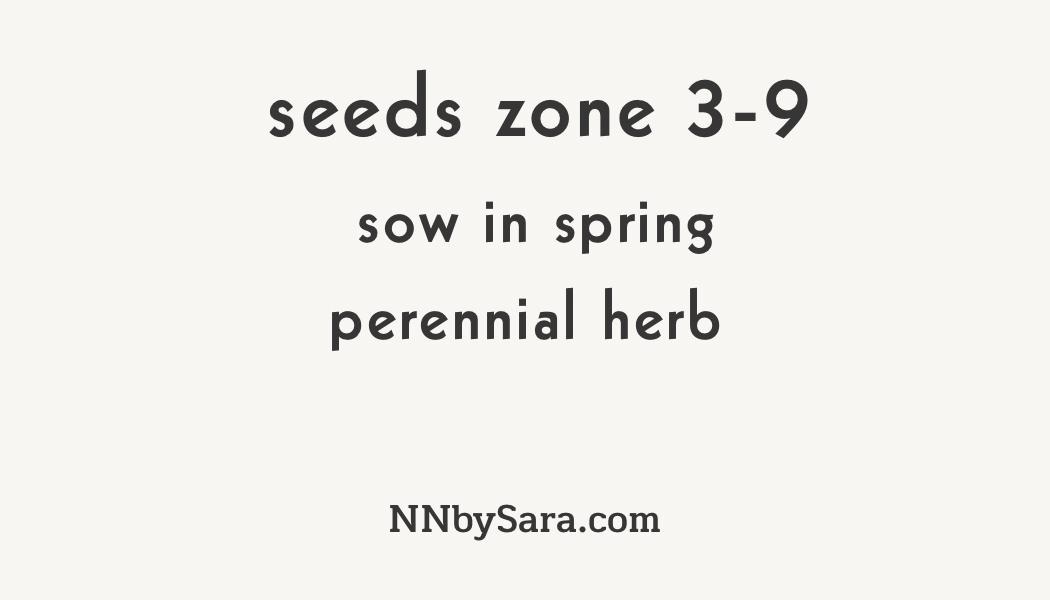 Seeds! Locally Grown in MN