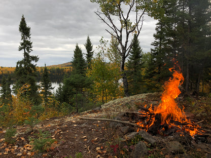 Tallow Tea lights bundle